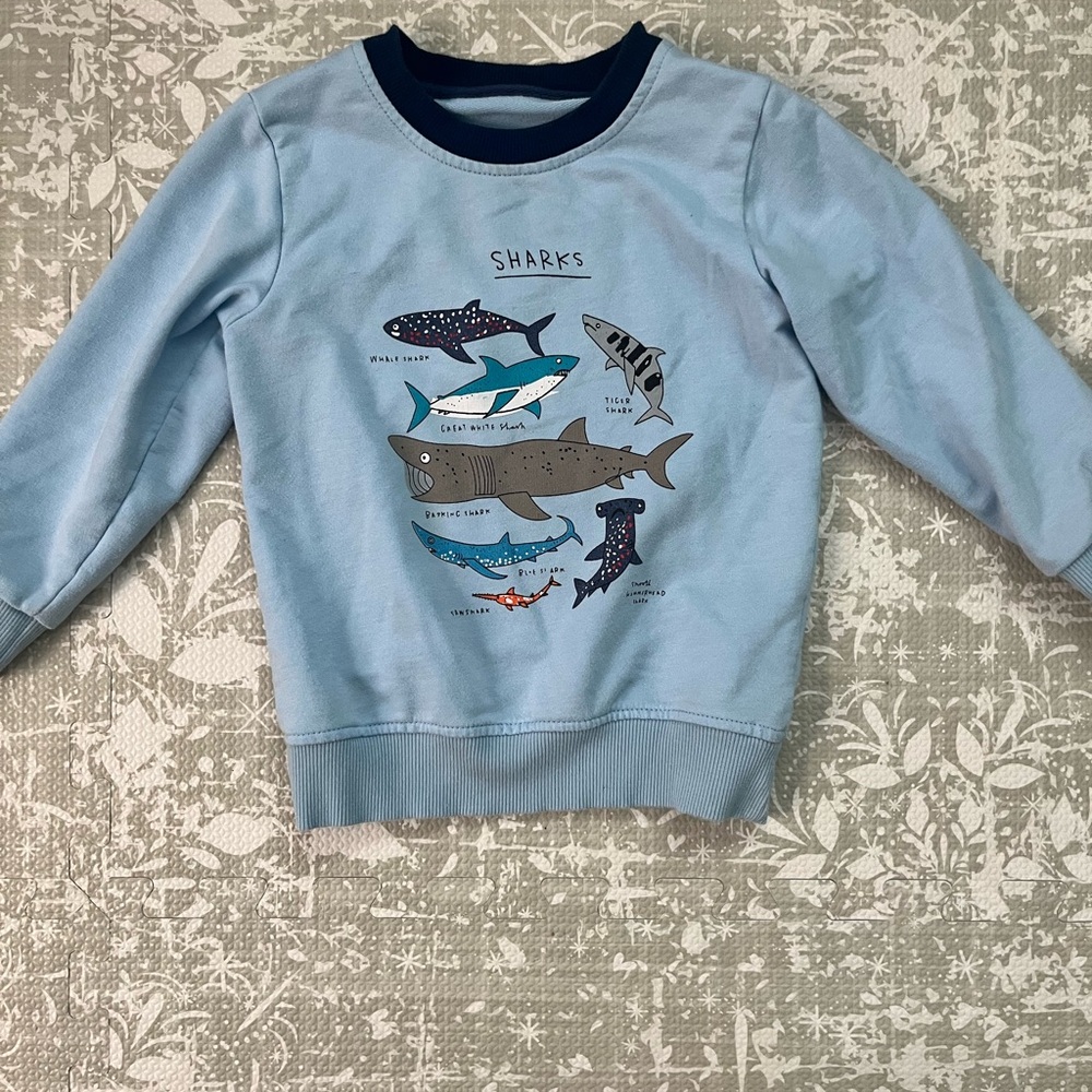 Kids Light Blue Shark Graphic Sweatshirt